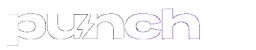 Логотип punch